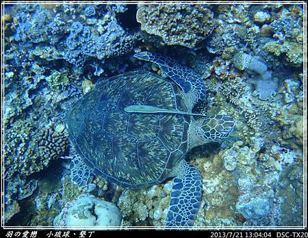 2013_0721_130404P118.jpg 2013_0721_130404P118.jpg