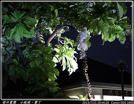 2013_0721_204028P152.jpg 2013_0721_204028P152.jpg