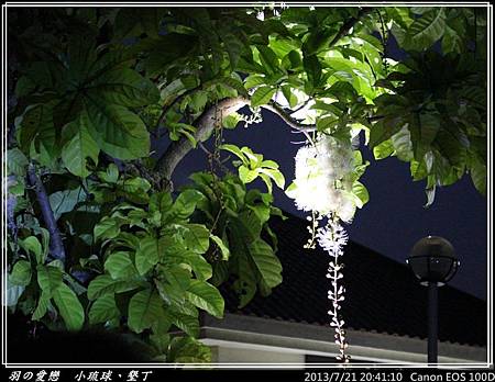 2013_0721_204110P153.jpg 2013_0721_204110P153.jpg