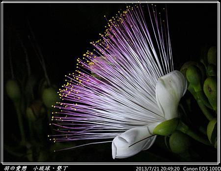 2013_0721_204920P156.jpg 2013_0721_204920P156.jpg