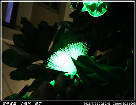 2013_0721_205043P157.jpg 2013_0721_205043P157.jpg