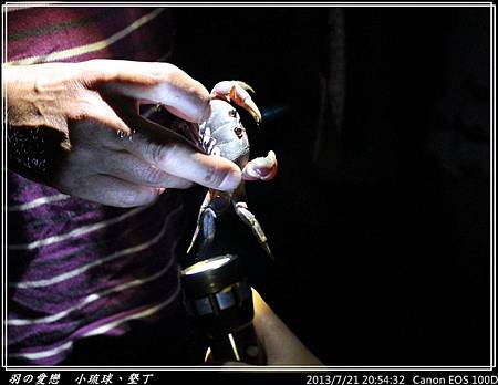 2013_0721_205432P158.jpg 2013_0721_205432P158.jpg