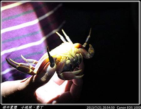 2013_0721_205450P159.jpg 2013_0721_205450P159.jpg