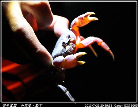 2013_0721_205918P161.jpg 2013_0721_205918P161.jpg