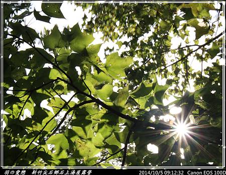 2014_1005_091232P49.jpg 2014_1005_091232P49.jpg