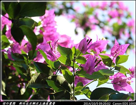 2014_1005_092002P53.jpg 2014_1005_092002P53.jpg