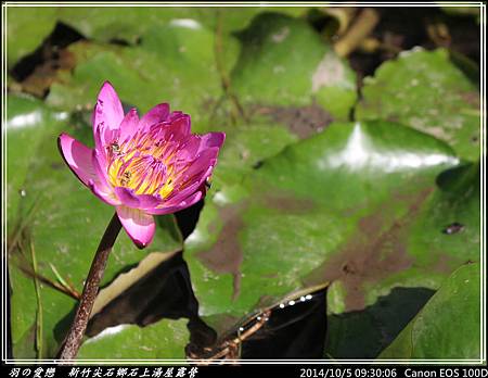 2014_1005_093006P56.jpg 2014_1005_093006P56.jpg