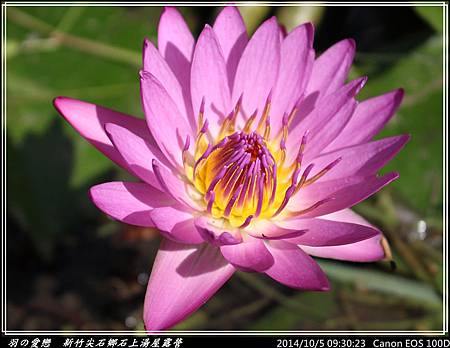 2014_1005_093023P57.jpg 2014_1005_093023P57.jpg