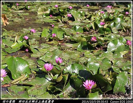 2014_1005_093043P58.jpg 2014_1005_093043P58.jpg