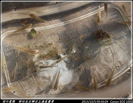 2014_1005_094609P62.jpg 2014_1005_094609P62.jpg