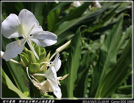 2014_1005_111059P72.jpg 2014_1005_111059P72.jpg