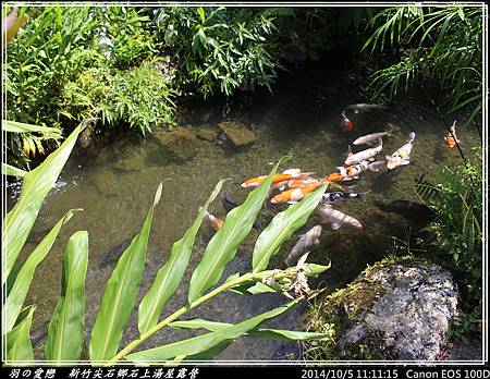 2014_1005_111115P73.jpg 2014_1005_111115P73.jpg