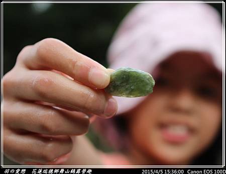 2015_0405_153600P59.jpg 2015_0405_153600P59.jpg