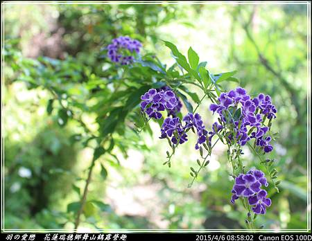 2015_0406_085802P75.jpg 2015_0406_085802P75.jpg