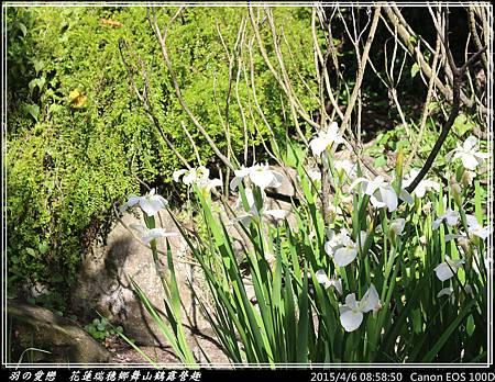 2015_0406_085850P76.jpg 2015_0406_085850P76.jpg