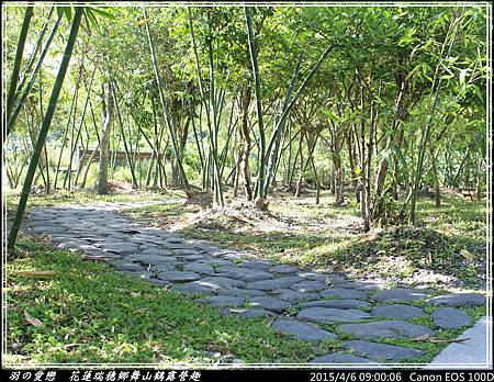 2015_0406_090006P77.jpg 2015_0406_090006P77.jpg