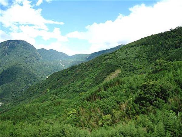 IMG_2784.JPG IMG_2784.JPG