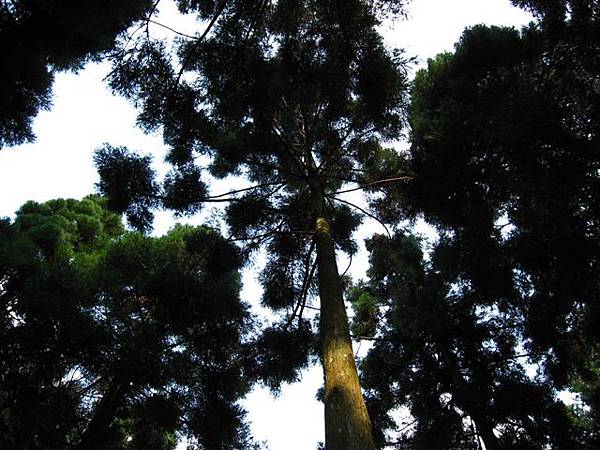 IMG_2963.JPG IMG_2963.JPG