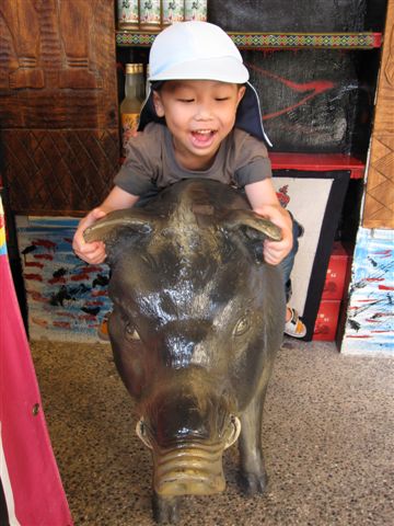 IMG_2974.JPG IMG_2974.JPG