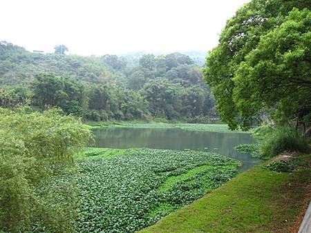 IMG_4385.JPG IMG_4385.JPG