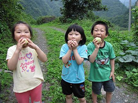 IMG_4613.JPG IMG_4613.JPG