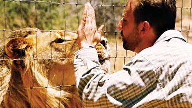 Daniel and our big cats
