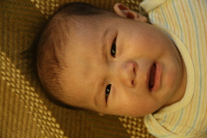 IMG_0044.JPG IMG_0044.JPG