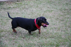 IMG_0045.JPG IMG_0045.JPG