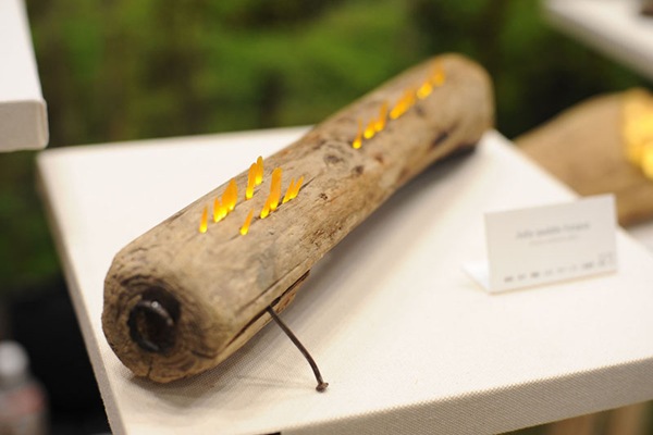 蘑菇造型LED燈_4 蘑菇造型LED燈_4