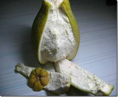 茶飲 茶飲