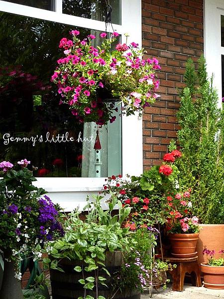 A garden in flower pots2.JPG