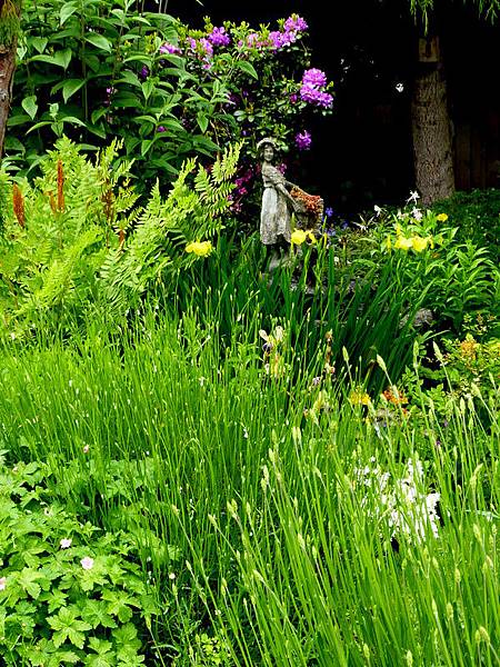 June garden 002.JPG
