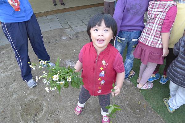 PhotoCap_033.jpg PhotoCap_033.jpg