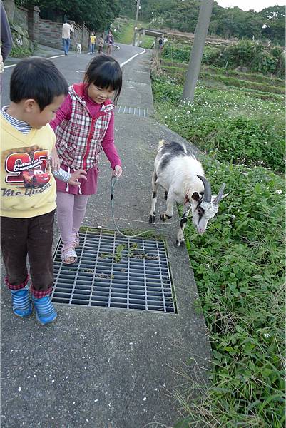 PhotoCap_059.jpg PhotoCap_059.jpg