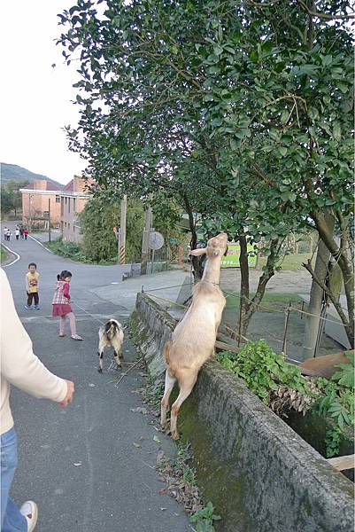 PhotoCap_061.jpg PhotoCap_061.jpg