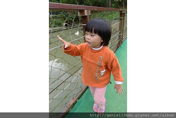 PhotoCap_018.jpg PhotoCap_018.jpg