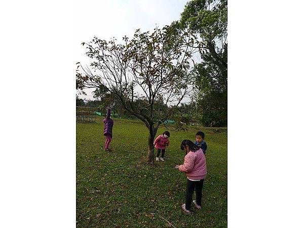 PhotoCap_013.jpg PhotoCap_013.jpg