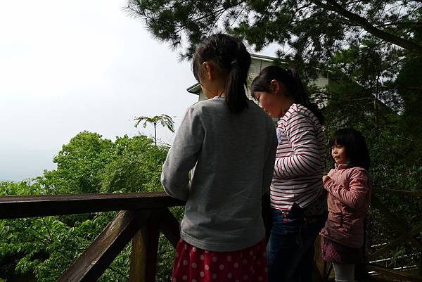 PhotoCap_021 PhotoCap_021