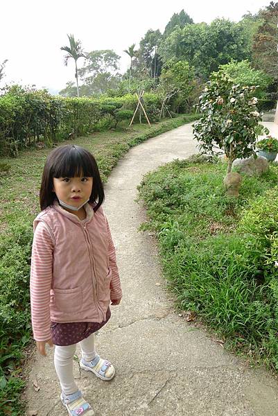 PhotoCap_036 PhotoCap_036