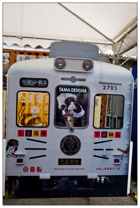 京阪神2010 C5D-227.jpg