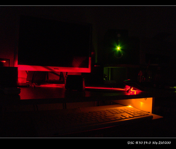 DSC02958.jpg