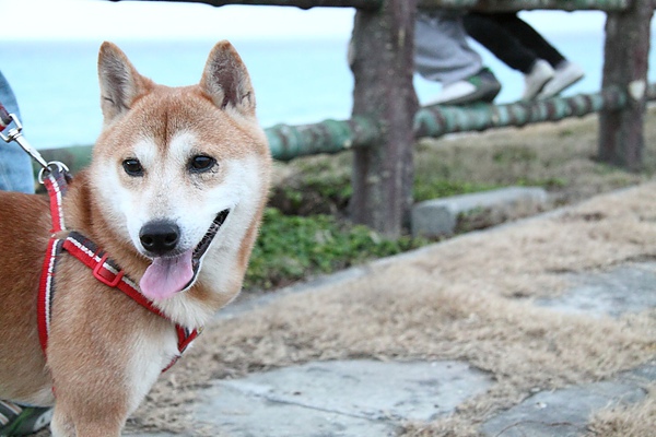 IMG_5507.JPG IMG_5507.JPG