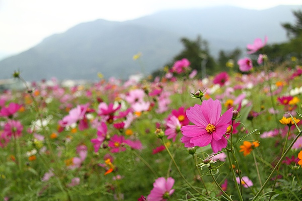 IMG_5678.JPG IMG_5678.JPG