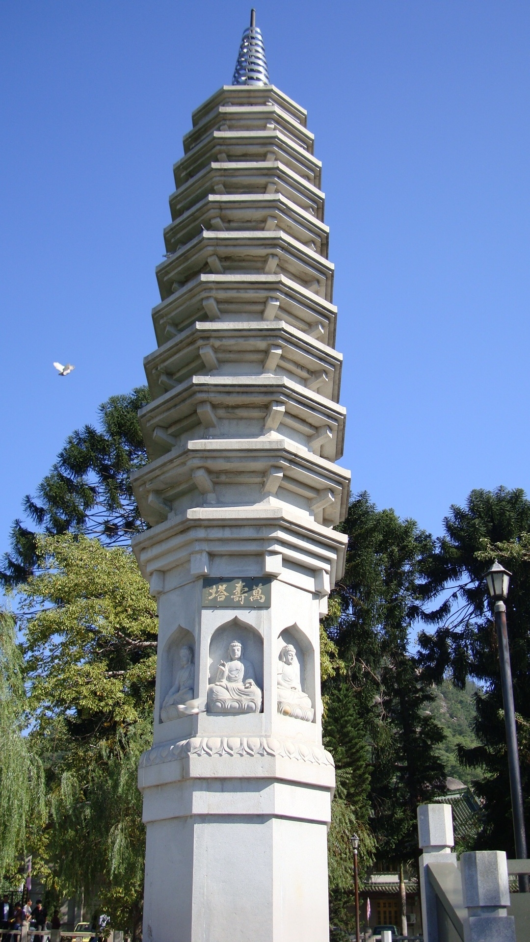 2008.11.11-1.JPG 2008.11.11-1.JPG