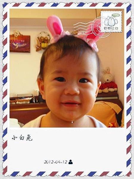 小白兔 小白兔