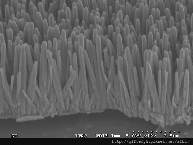 ZnO-nanorods-cross-section