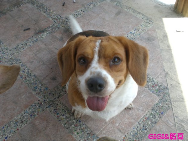 CIMG1223.jpg CIMG1223.jpg