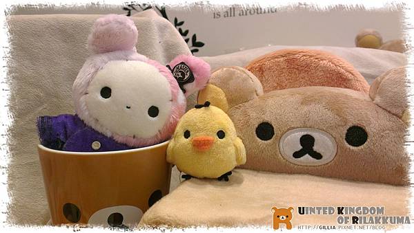 IMAG1772.jpg IMAG1772.jpg