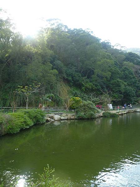 P1100156 P1100156