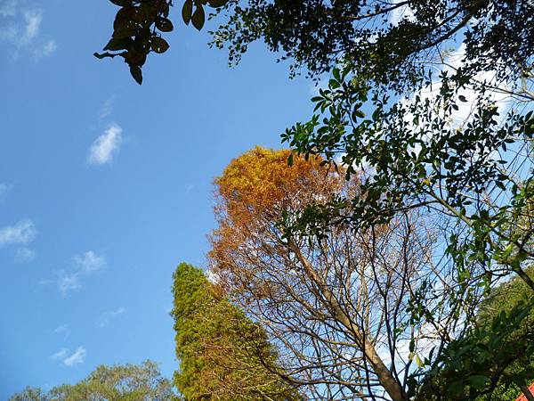 P1100182 P1100182